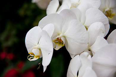 国产成人V：虚拟驾驶与成人叙事的融合，国产独立游戏开启全新冒险旅程-1