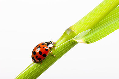 网站懂我意思吗：极限竞速地平线5深度评测，三招突破技术瓶颈与终极驾驶幻想-2