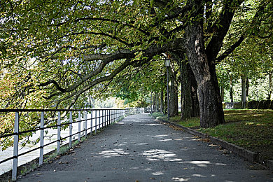 好、色、先、生TV：极速幻色策略竞速，视觉与智慧的双重赛道盛宴-3