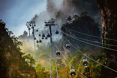 不知火舞和3小孩森林公园：格斗女王化身温柔向导，同人新作开启森林治愈冒险