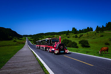 女生和男生一起差差的软件：双人竞速新作颠覆协作玩法，互补驾驶系统引领赛道革命-2