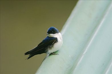 黄色软件2022 3.3.3：极速锋芒新版本上线，真实物理引擎与动态天气重塑竞速体验-2