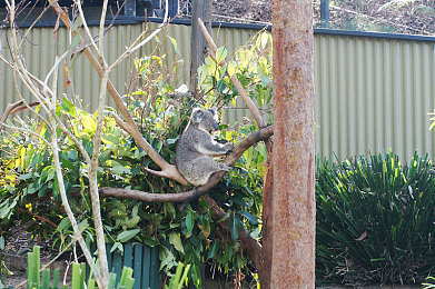 韩国一区二区三区：竞速新境界，从入门到精通的赛道进阶全解析