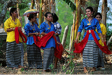 一个好妈妈4字头强华的出处和背景介:经典赛车游戏Forza 4因何被玩家亲切称为赛道上的启蒙导师-3