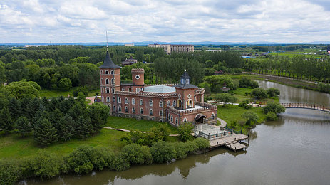 oppo破解版：越狱狂飙，解锁赛道尽头的终极驾驭哲学