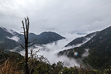 男生和女生打扑克很疼：策略交锋，痛感共鸣，卡牌对决新纪元