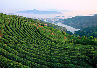 向日葵视频app站长统计：竞速热潮再起，极限竞速地平线5玩家数据飙升揭示驾驶新趋势-2