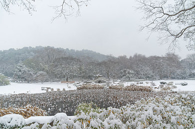 69乐园会员日志个人空间：打造地平线五专属车库，成就你的竞速传奇收藏馆-2