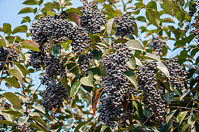 十八款看奶网站：轰鸣艺术与数字驾驭，虚拟赛道上的视觉诗篇-5