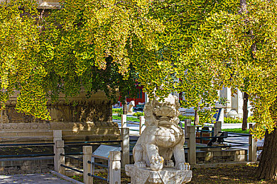 胡桃用手抠出许多白色粘液咋办图片视频：揭秘往生堂堂主战斗精髓，幽灵残渣特效实战解析-2