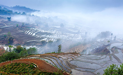 欧美一号二号区域：征服地平线双世界，美式狂野与英伦精密驾驶终极解析-3