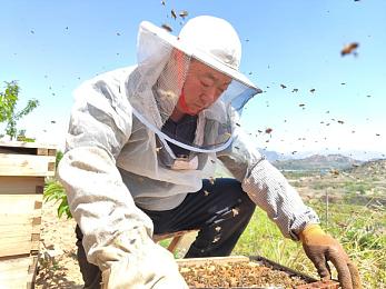 亭亭玉立国色天香综合症的预防与改：风华内蕴，宫廷浮沉录-2