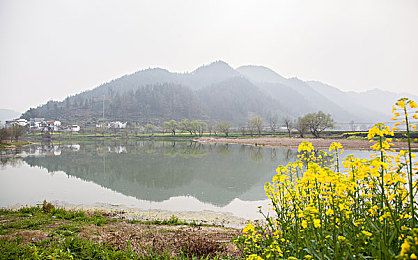 杨玉环裸乳露双奶头被亲：盛世霓裳，月下长安的权谋与诗篇-2