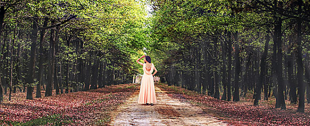 不良网站软件：警惕免费陷阱，赛车游戏内购广告泛滥引玩家抗议