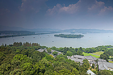 挠尿孔痒崩溃：膀胱警报，末世方向盘的终极生存博弈