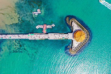 残忍粗大拳头酒瓶交:末日引擎,狂沙与交易的生存轮盘-2