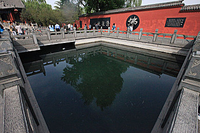 gay sm：策略与速度交织，全新赛车经营游戏颠覆传统竞速体验