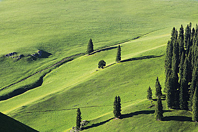 亚洲欧美日韩一区二区:全球竞速文化碰撞,赛道风云分区驾驶体验全解析-2