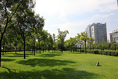 黄色软件OPPO APP 3点0免费下载：极速狂飙3.0版本上线，隐藏黄色跑车获取攻略全解析-2