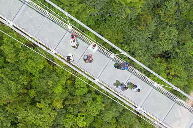 双人摇床打扑克：竞速扑克新游上线，动态牌局引爆双线操作狂潮-2