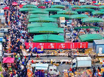 欧美美女与公猪交：都市猎手驾驭钢铁猛兽，开启极限改装竞速新纪元