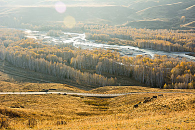 差差2023：2023竞速游戏集体翻车，玩家差评如潮背后的技术困局与创新危机-2