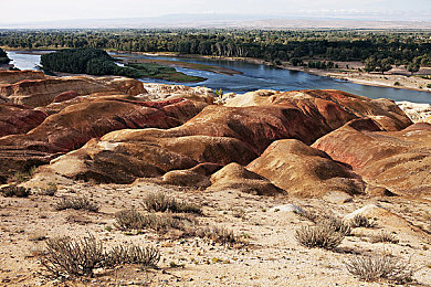 打扑克又叫又叫：当策略卡牌遇上极速狂飙，体验惊呼不断的创新竞速对决-4