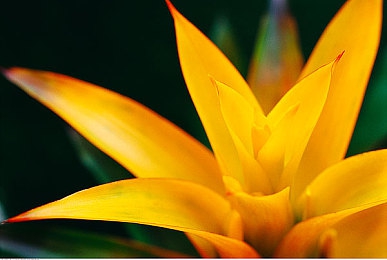 天天舔天天日：《极限竞速：地平线5》深度体验，人车合一的驾驶乐趣与进阶攻略全解析-2