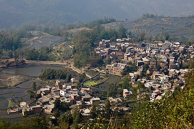 黄色oppo免费软件：云游戏新体验，极限竞速地平线5登陆移动平台，墨西哥赛道全解析-2