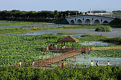 网曝门吃瓜：街头风云暗流涌动，极限车手隐匿法则全解析