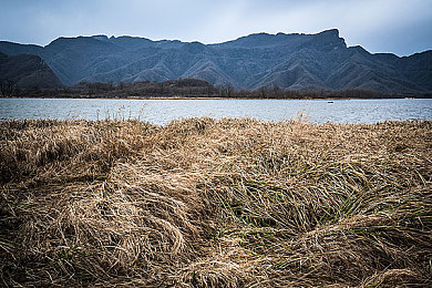 商务旅行中戴绿色帽子的女老板同行台词：绿帽暗藏商战机密，你的选择决定谈判成败-3