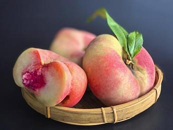 亚洲经典一区二区：霓虹峡谷与海岸山道的东方竞速诗篇-2