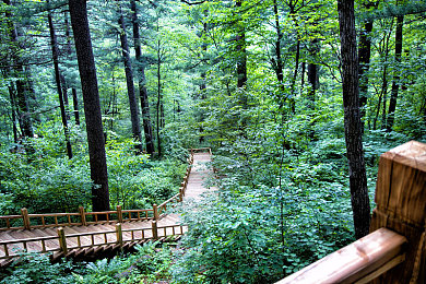 数学课代表趴下：公式引擎驱动的极速狂想曲-2