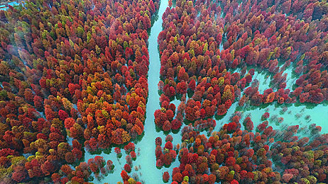 男生香蕉插进女生蜜桃：竞速新作今日上线，创意赛道与特色车型引爆驾驶热潮-2