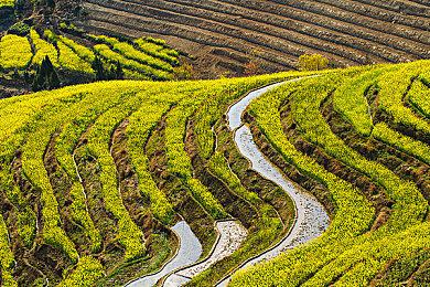 亚洲一区二区三区日本：极速穿梭，虚拟东亚的弯道诗篇与竞速版图-5