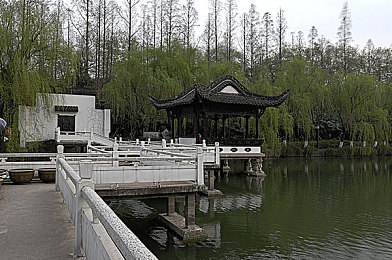 一级调色大片的经典实例图片：今日墨西哥，用镜头驾驭地平线5的视觉革命-1