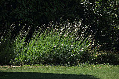 天天鲁天天干:驰骋无界,在极限竞速地平线中书写你的赛车传奇-2