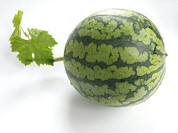 黄色软件下载安装3.3.0最新版本：极速狂飙全新版本震撼上线，动态天气与深度改装颠覆竞速体验-3