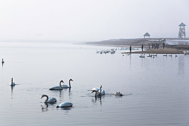 黄色2023下载：疾驰于墨西哥画卷，驾驭年度炫彩超跑之旅-2
