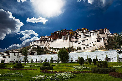 真人上床拔萝卜：拖拉机竞速拯救农场，物理引擎打造爆笑种田新体验-3