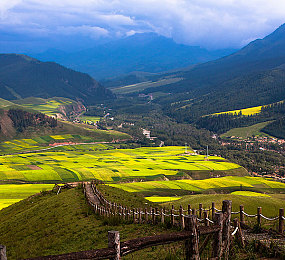 男生女生一起差差差的apP：极速搭档深度评测，差异协作成就赛道传奇-2