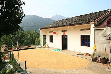 双人扑克又叫又痛：极速狂飙，卡牌对决，智慧与策略的赛道争锋