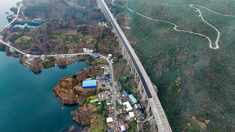 猫咪社区app官网：萌系赛车新作今日上线，三招制胜攻略与隐藏赛道全解析-2