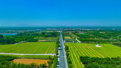 www黄网：霓虹网格疾驰，瞬息万变赛道上的策略竞速-2