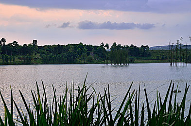 玷污黄色软件：数据净化竞速，赛博朋克街道的代码救赎之旅-3