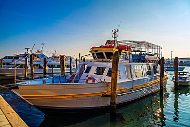 打扑克又叫又疼还不盖被子：心跳加速策略对决，畅享极速卡牌竞技新体验-2