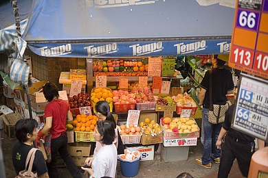 黄色软件app3.3.3：解锁地平线隐藏色彩，驰骋墨西哥的创意之旅