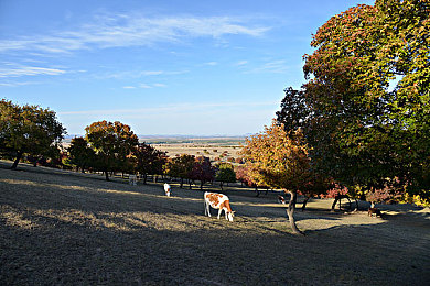 男人和女人啪啪啪APP：双人共驾革新竞速，同步脉冲引爆协作新纪元-4