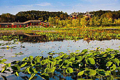 修修漫画在线登录页面免费漫画入口页面破解：漫画狂飙赛道破解，趣味竞速融合收集新体验-3