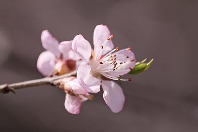在床上打补克：卡牌策略驾驭极速狂飙，全新手游赛道王牌今日上线-2